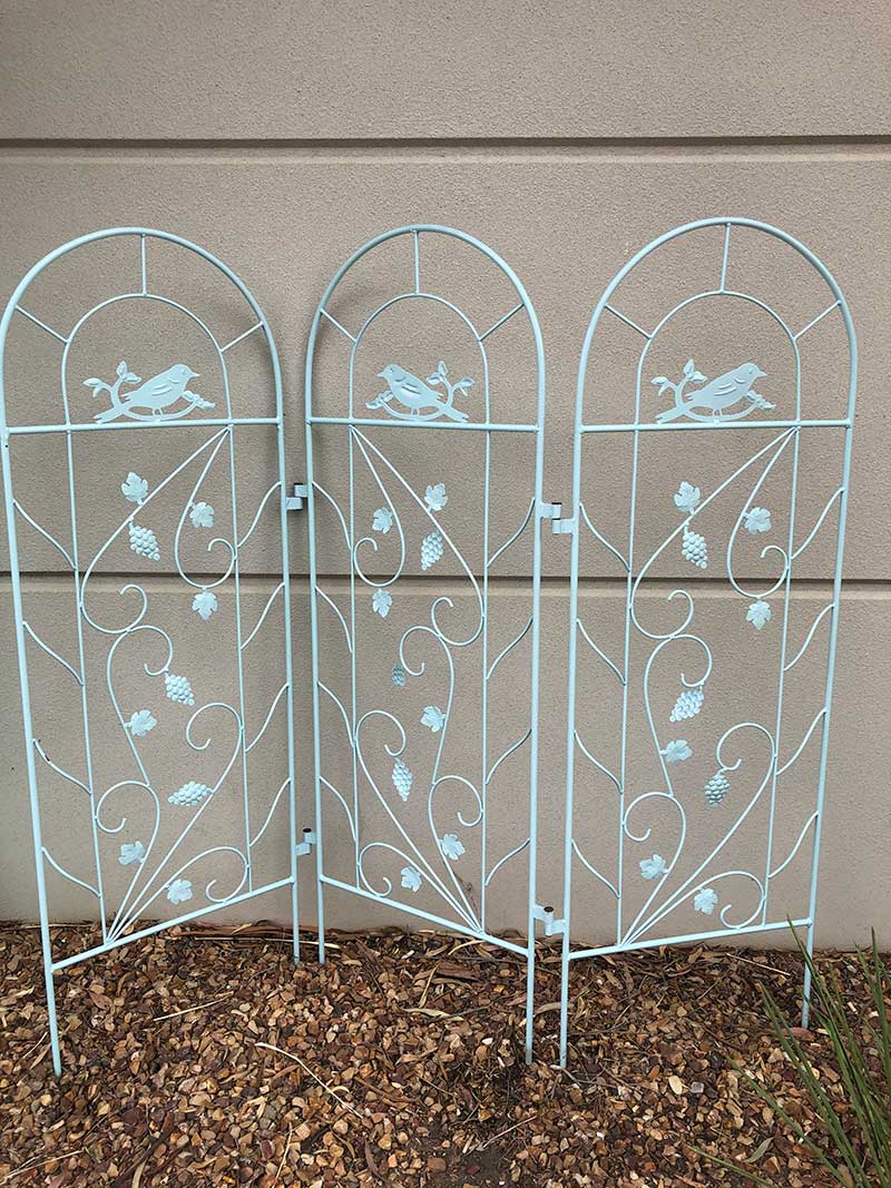 Decorative Garden Metal Divider Metal Trellis 1.6*1.5m Forestwest