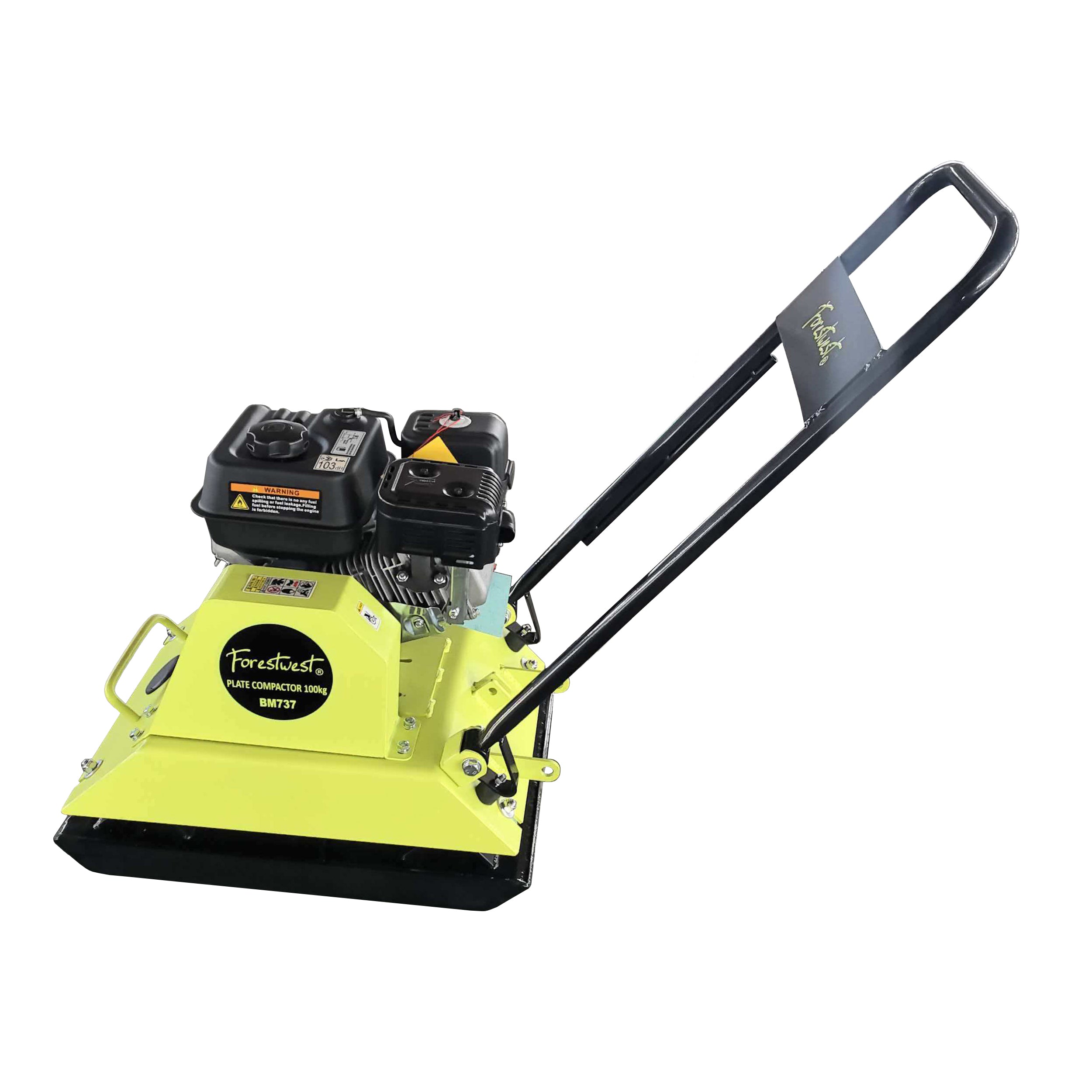 100kg 6.5HP Plate Compactor BM737